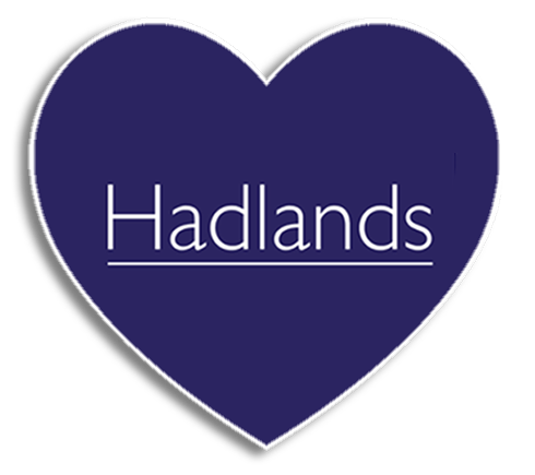 Hadlands Estate Agents Valentines Heart